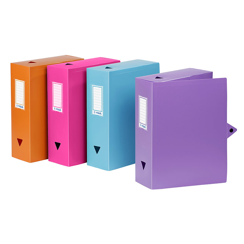 Viquel - Boîte de classement avec tranche de 10 cm Standard